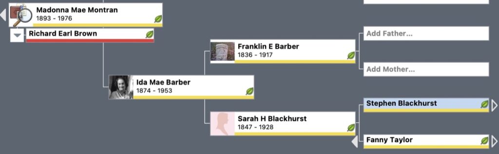 Screen shot showing my maternal line from Madonna Montran to Fanny Taylor.